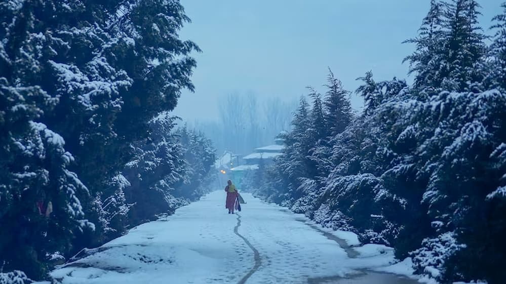 Cold Wave Continues in Srinagar; Anantnag Records Temperature Below Zero at -4.1°C