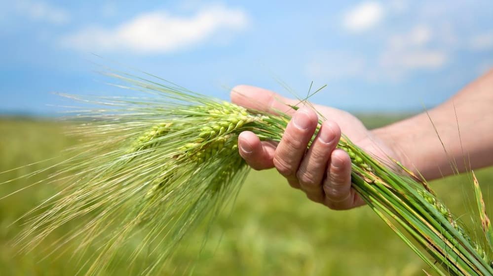 Dang Declared India’s First Fully Organic Farming District, Marks Major Milestone in Sustainable Agriculture