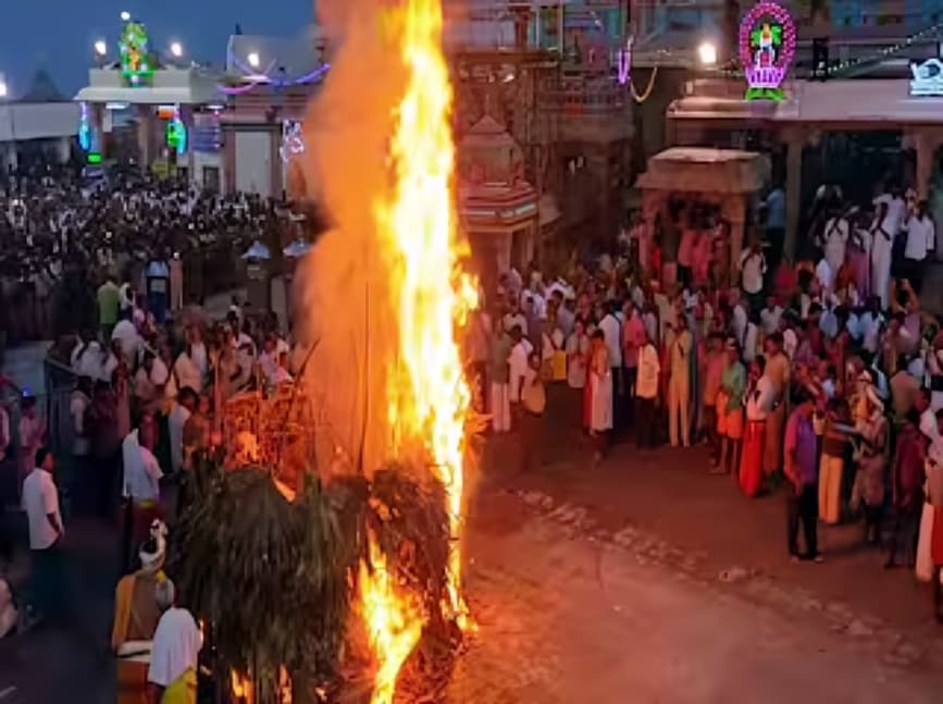 பழனி முருகன் கோயிலில் கோலாகலமாக கொண்டாடப்பட்ட கார்த்திகை தீப திருவிழா