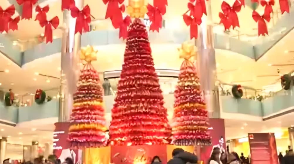 Delhi Malls and Hotels Adopt Eco Friendly Christmas Tree Decorations Using Recycled and Indigenous Materials