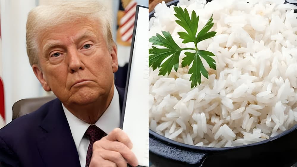 Indian Rice Exporters Unfazed by Trump’s US Tariff Threat