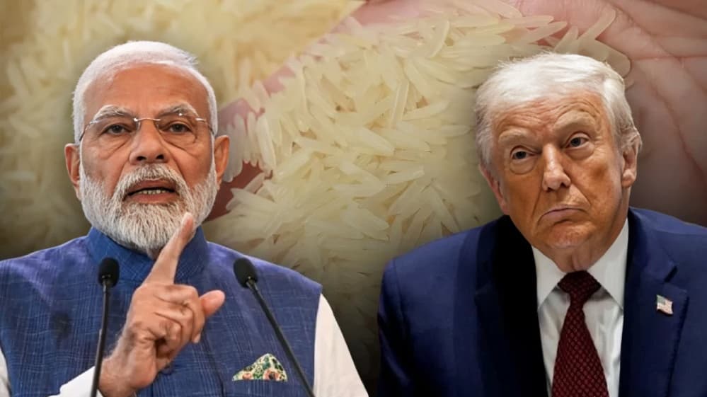India Dismisses US Claims of Rice Dumping, Highlights Premium Basmati Export Pricing