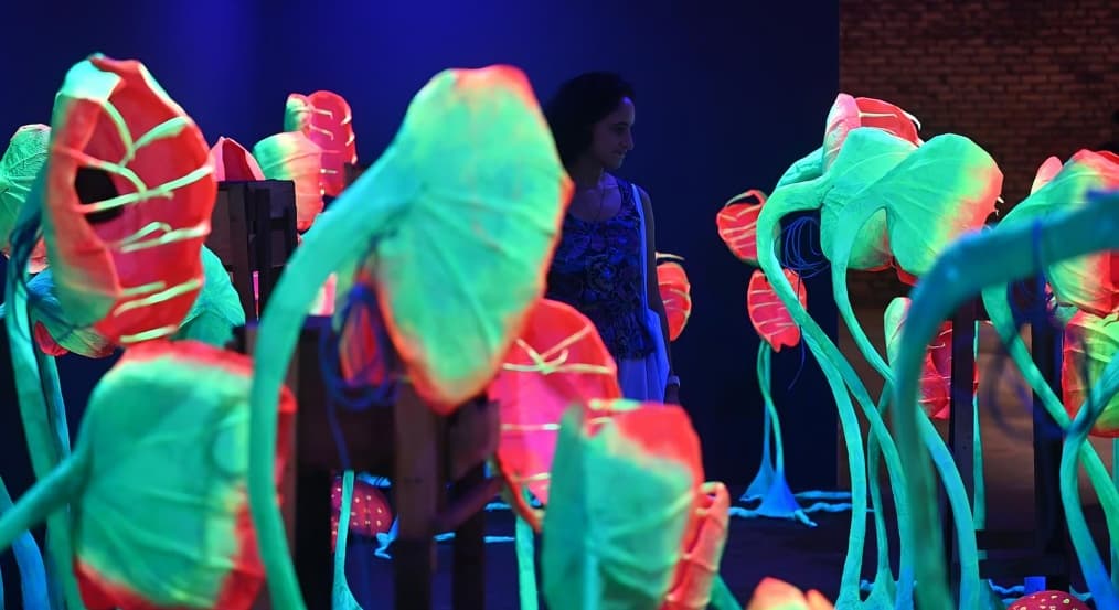 Sixth Kochi Muziris Biennale Opens Featuring 66 Artists Across 22 Venues