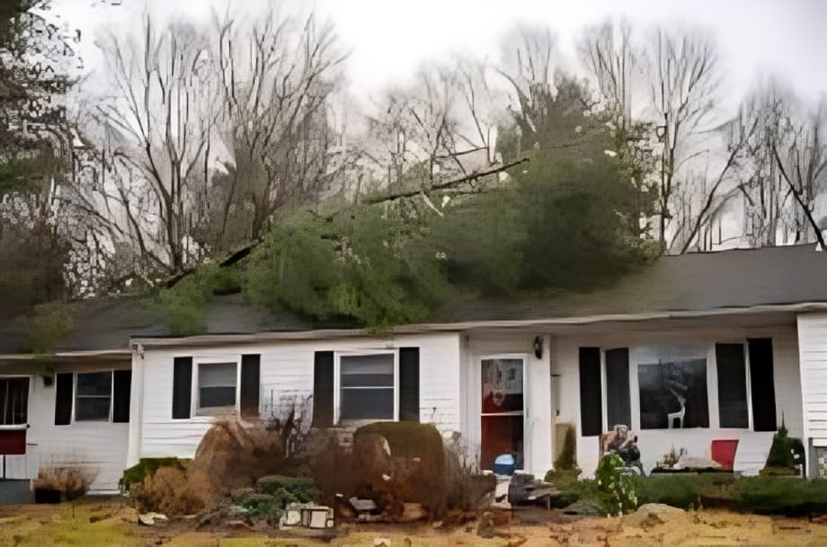 Storm disrupts normal life in Connecticut; several schools and institutes remain closed