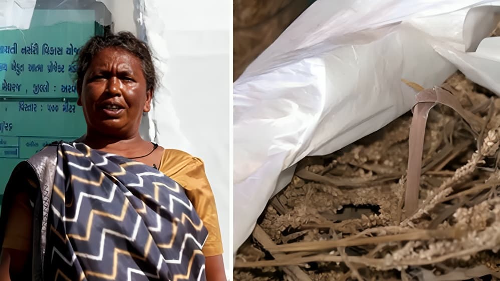 Aravalli Woman Receives New Home Under PMAY Through Gujarat Government Initiative