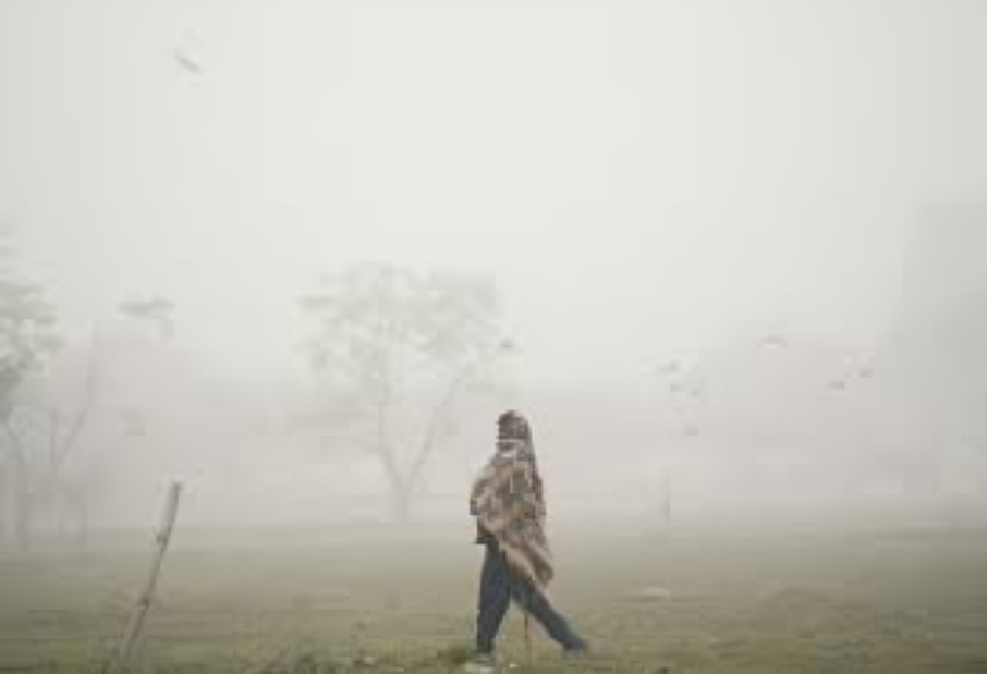 Dense Fog and Cold Wave Disrupt Daily Life in Mandsaur, Madhya Pradesh