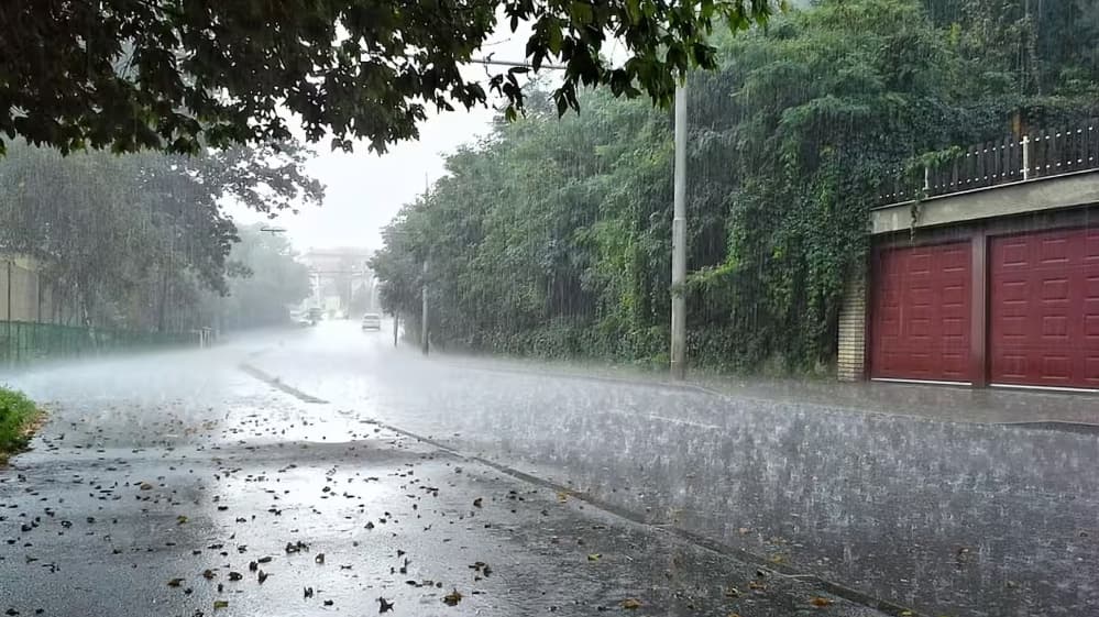 மயிலாடுதுறை மாவட்டத்தில் கனமழை, இயல்பு வாழ்க்கை பாதிப்பு; சம்பா பயிர்களுக்கு சேத அபாயம்
