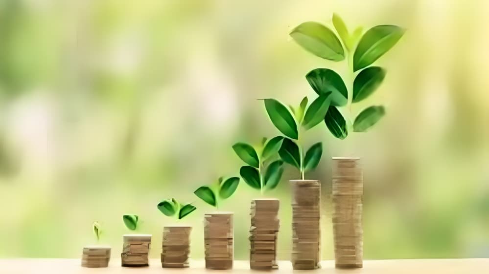 Budget 2026: Renewable Energy Sector Seeks Support for R&D, Manufacturing and Green Finance