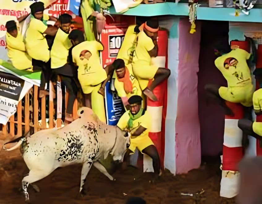 நாமக்கல்லில் நடைபெற்ற ஜல்லிக்கட்டு போட்டி 600க்கும் மேற்பட்ட காளைகள் 300 வீரர்கள் பங்கேற்பு