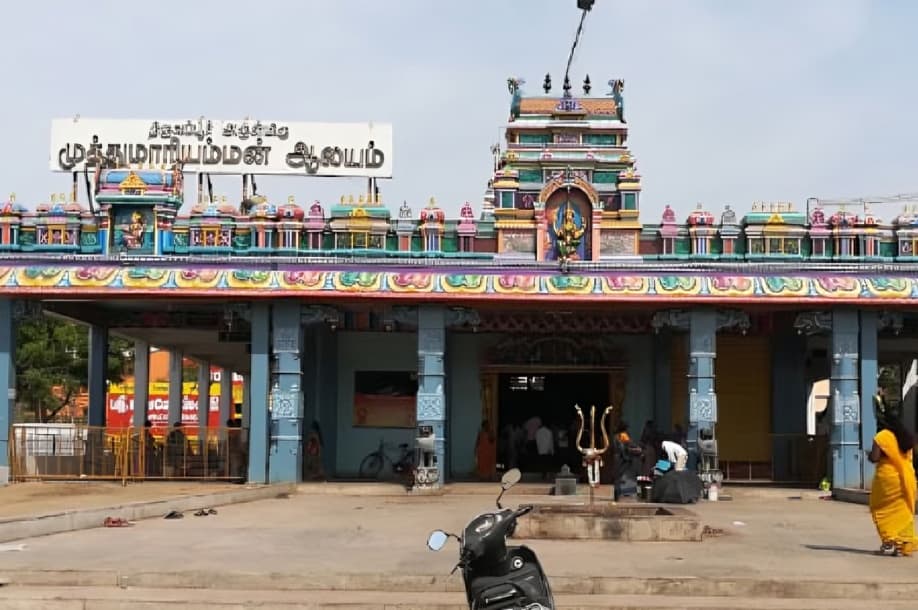 தேனி முத்துமாரியம்மன் கோவிலில் தைப்பூச கிறுத்திகையை முன்னிட்டு முருகப்பெருமானுக்கு சிறப்பு அபிஷேகம்