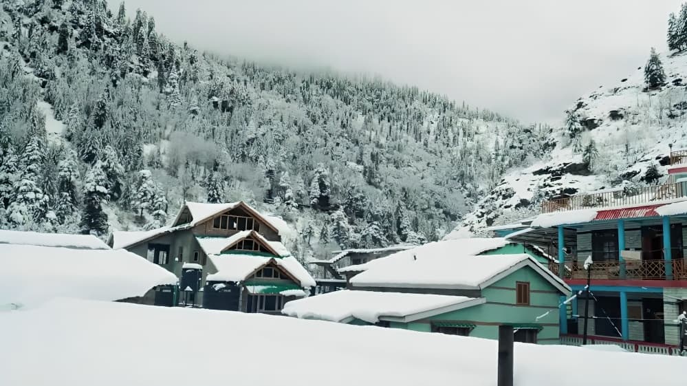 Fresh Snowfall Covers Manali Mall Road, Tourists Flock to Experience Winter Charm