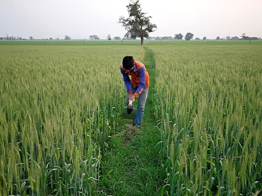 Chhattisgarh Extends Paddy Procurement, Ensures Full MSP Benefits for Farmers