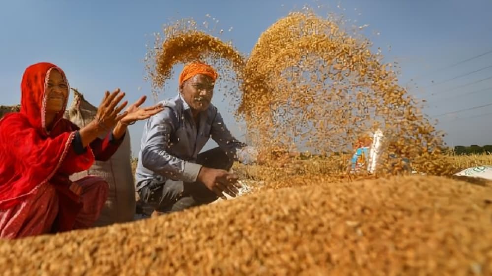 UP Farmers to Benefit as Yogi Government Announces Higher MSP for Rabi Crops