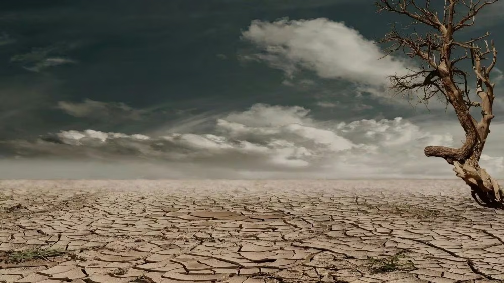 Concerns Rise Over Impact of Monsoon El Nino and West Asia Tensions on India Agriculture