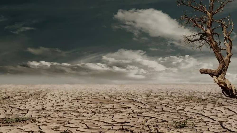 Concerns Rise Over Impact of Monsoon El Nino and West Asia Tensions on India Agriculture