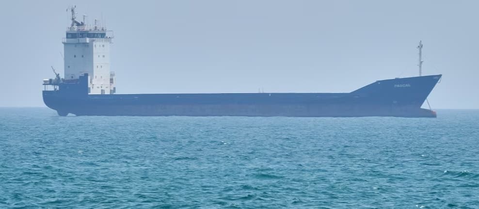 Iran Seizes Two Ships Near Strait of Hormuz One Reportedly Bound for Gujarat