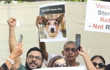 தெருநாய்கள் கட்டுப்பாடு தொடர்பான உச்சநீதிமன்ற கருத்துக்கு தேசிய மக்கள் கட்சி வரவேற்பு