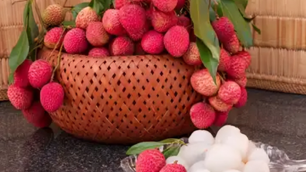 முசஃபர்பூரின் ஜிஐ குறியீடு பெற்ற ஷாஹி லிச்சி டெல்லிக்கு அனுப்பப்பட்டது: முக்கிய பிரமுகர்களுக்கு பீகா
