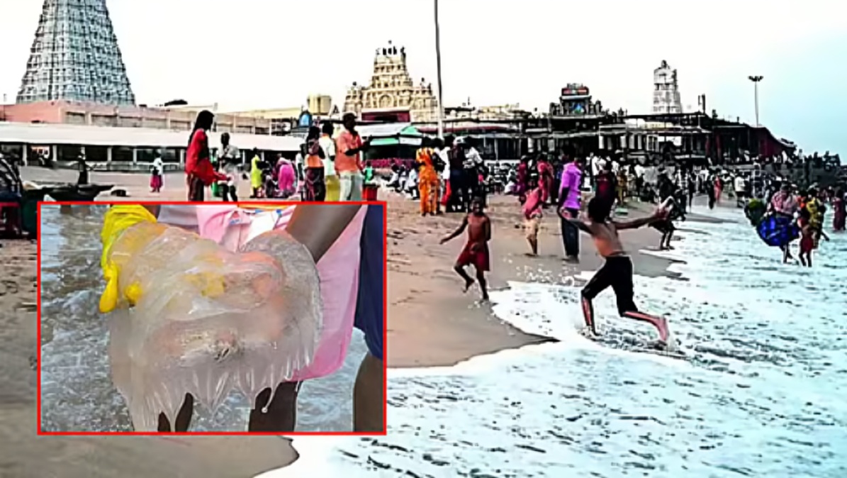 திருச்செந்தூர் கடற்கரையில் ஜெல்லி மீன்கள் கரை ஒதுங்கல் பொதுமக்களுக்கு கடலோர பாதுகாப்பு குழுவின் எச்ச