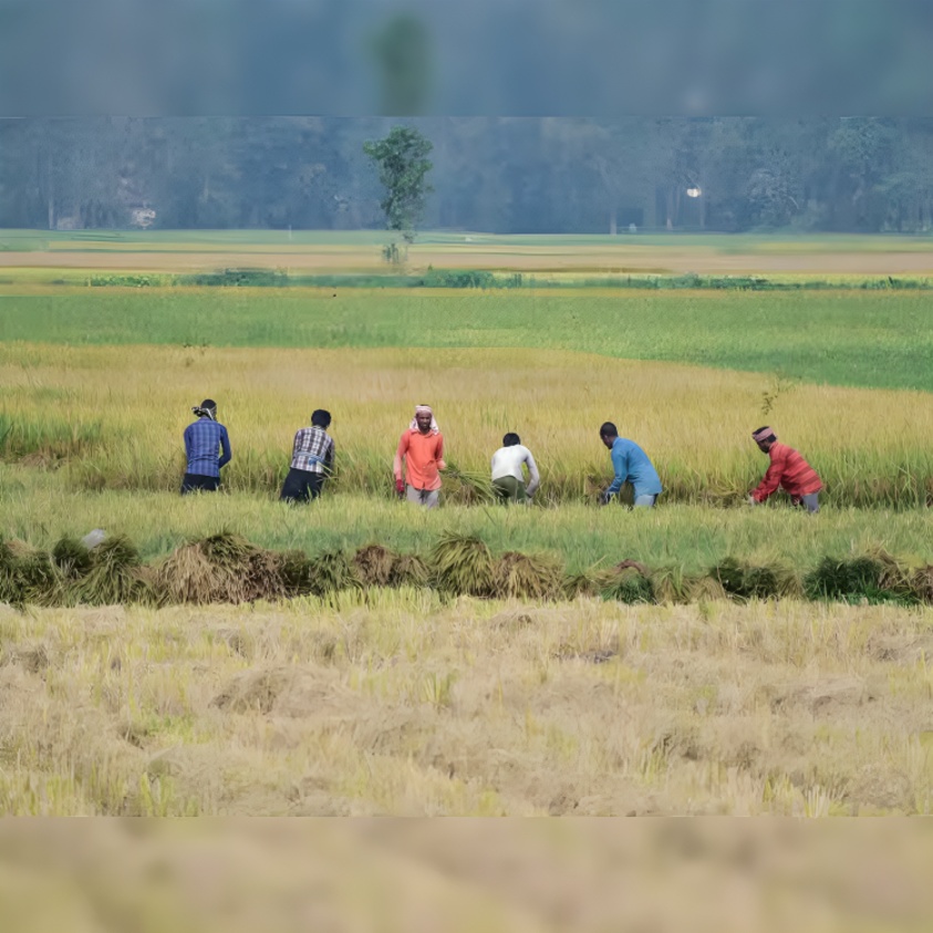 S&P Global Ratings Says Weak Monsoon Could Impact Food Prices, Rural Income and Credit Growth in Ind