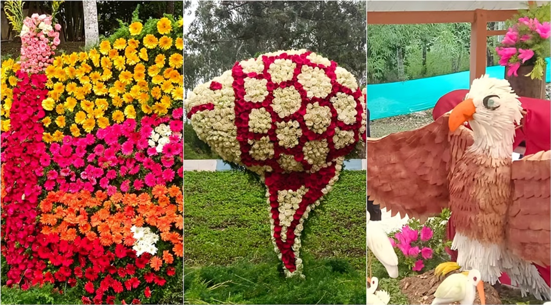 கொல்லிமலையில் கோலாகலமாக நடைபெற்ற வல்வில் ஓரி விழா