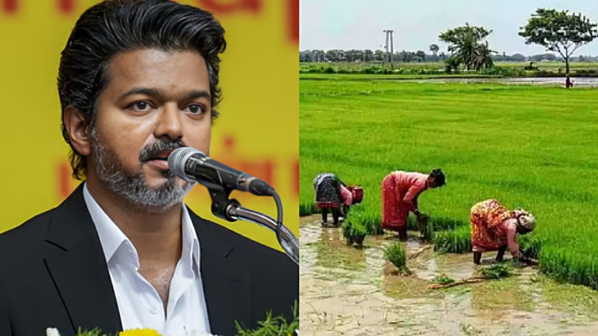 Tamil Nadu CM Vijay Completes 100 Days, Highlights Welfare Schemes, Farmer Support and Investment Pl
