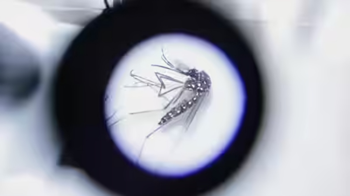 Parliamentary Panel Warns of Expanding Vector Borne Disease Threat in Northeast India