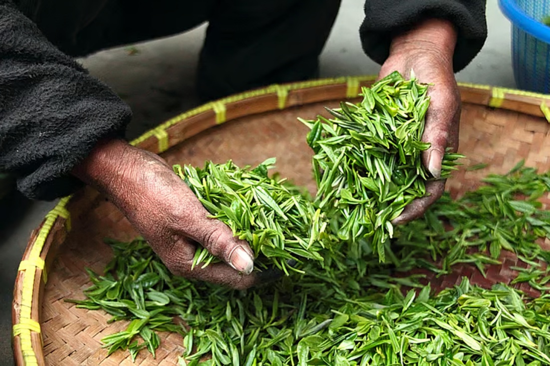 India Food Processing Sector Could Reach US$600 Billion by 2030 as Exports and Value Addition Expand