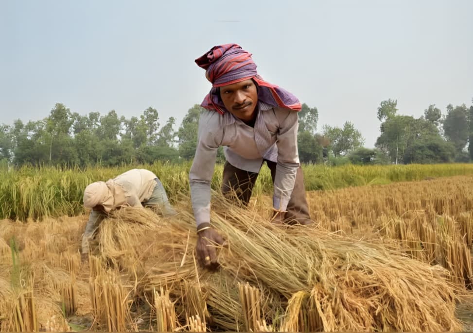 India’s Agri-Seed Sector Leads Benefit-Sharing Contributions, NBA Receives ₹9.68 Crore in Six Months