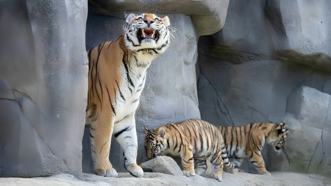Trump Faces Backlash for AI-Generated Tiger Video After Fatal UK Wildlife Park Attack