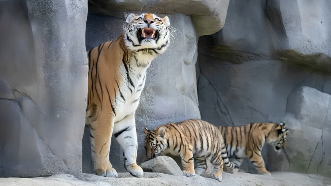 Trump Faces Backlash for AI-Generated Tiger Video After Fatal UK Wildlife Park Attack