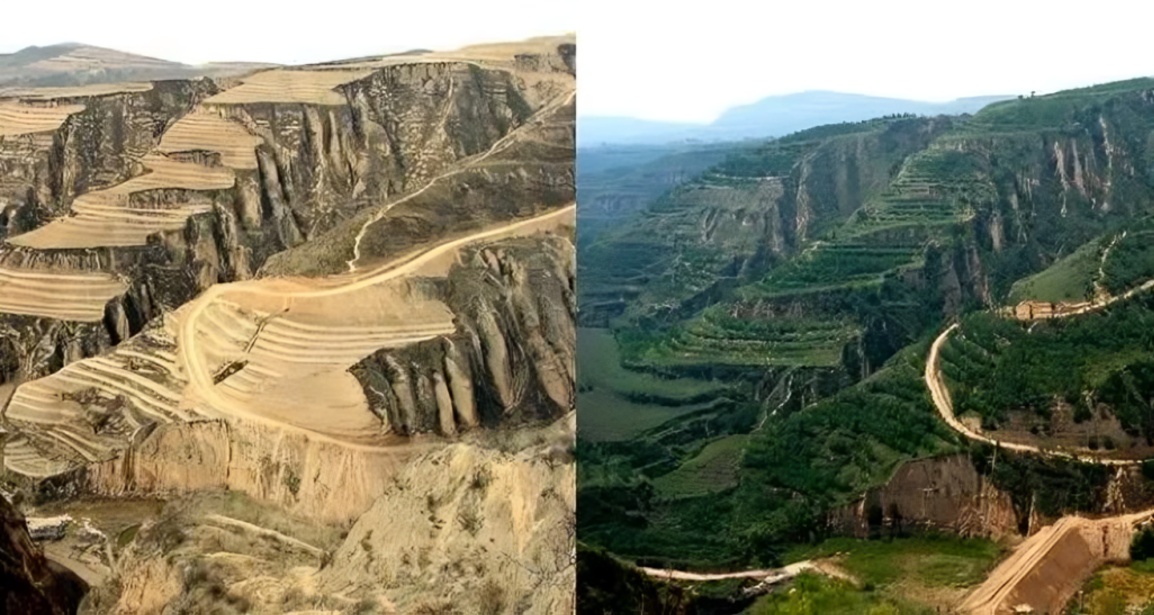 China’s Loess Plateau Greened After Restoration, but Groundwater Drought Intensified Between 2003 an