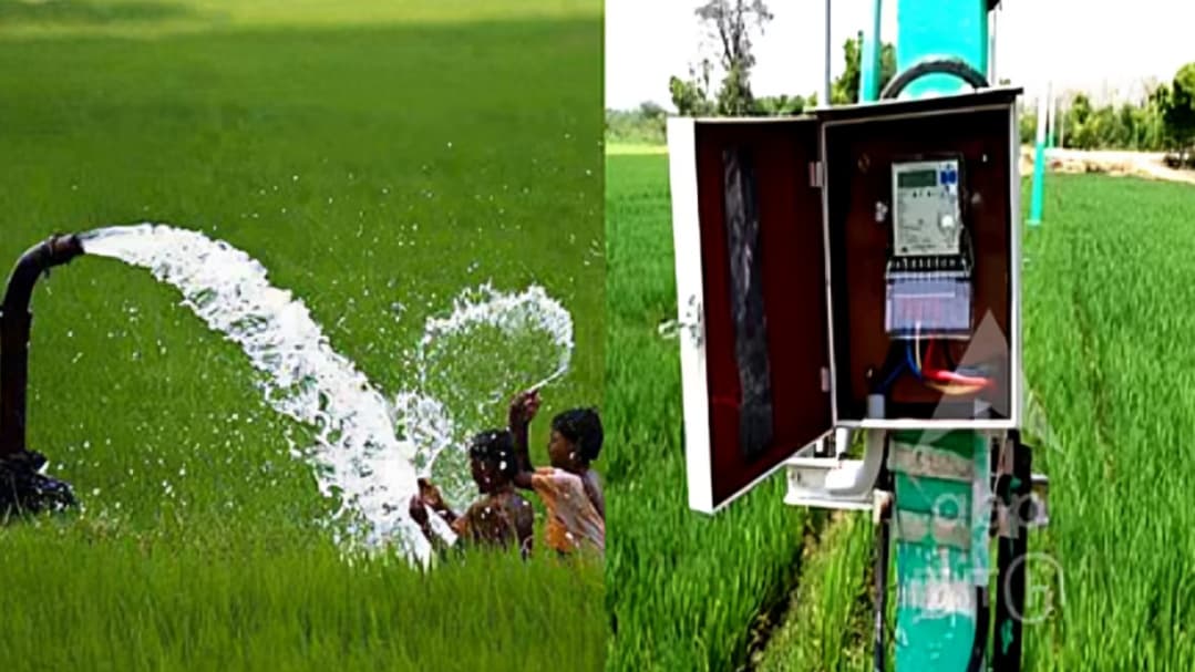 தமிழக விவசாயிகளுக்கு 50,000 புதிய மின் இணைப்புகள் வழங்க அரசாணை வெளியீடு