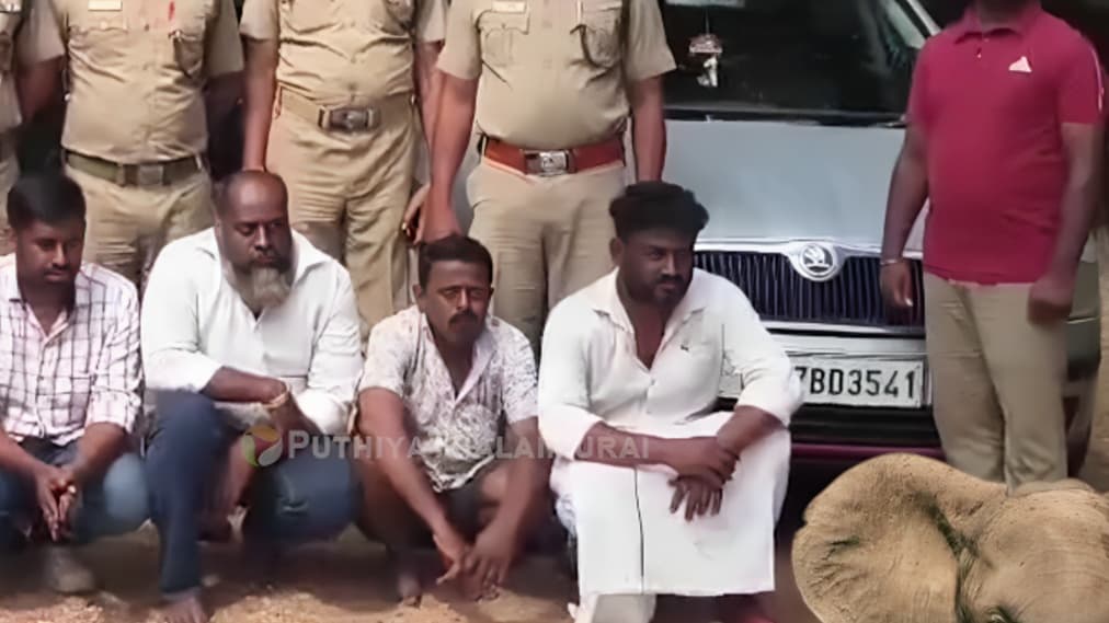 தேனி அருகே கார்களில் யானைத் தந்தங்கள் கடத்தல் 4 பேர் கைது