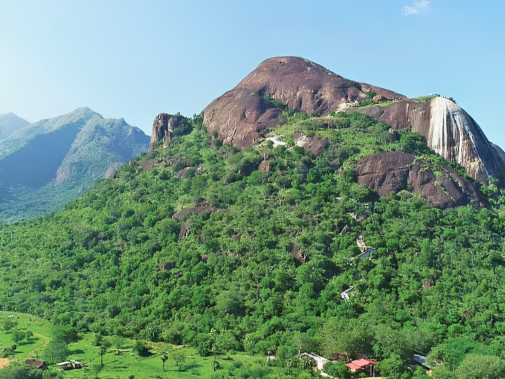 திம்பம் மலைப்பகுதியில் கண்கவர் இயற்கை அழகு: பசுமையான வனத்தையும் மேகக் கூட்டங்களையும் ரசிக்கும் சுற்றுலாப் பயணிகள்