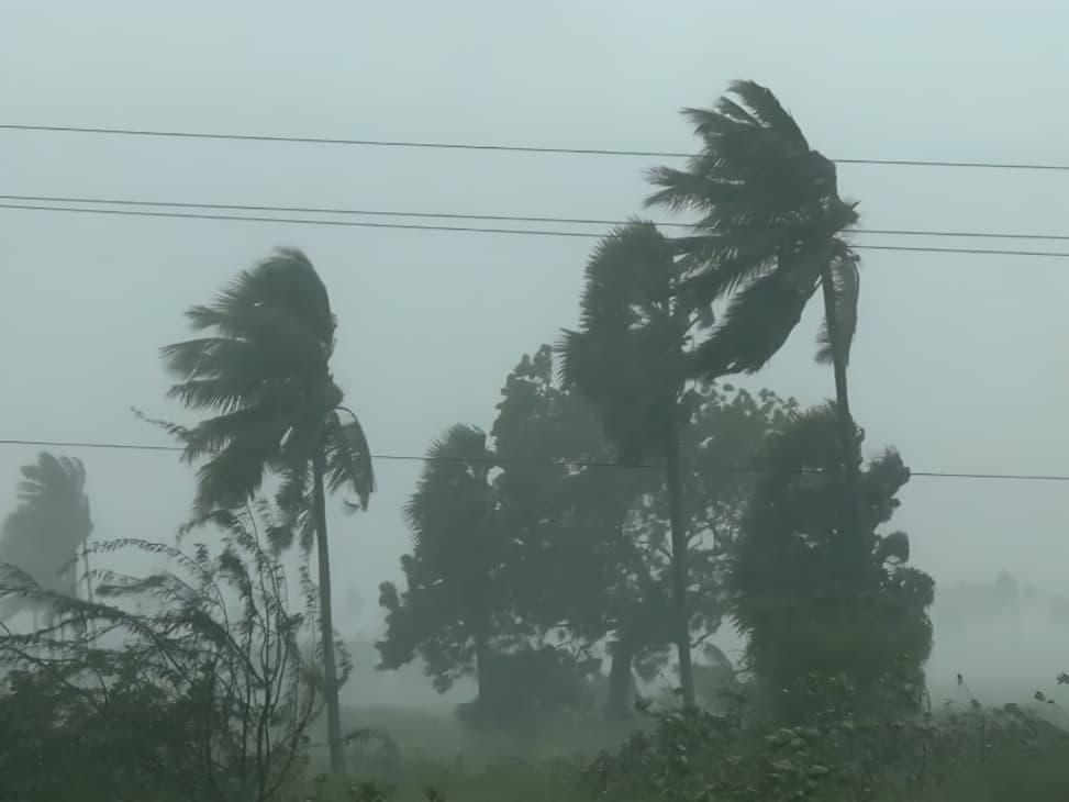 Priyanka Gandhi Urges Congress Workers to Extend All Possible Help to Cyclone Arnab Victims in Odisha and Andhra Pradesh