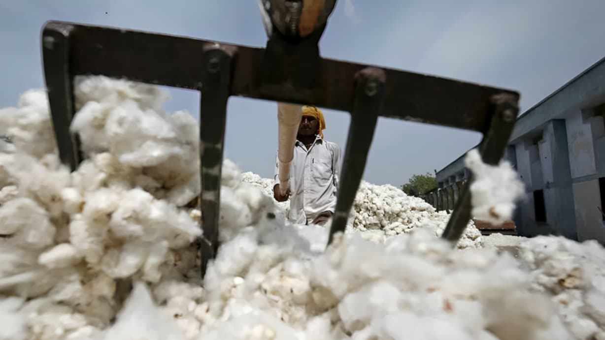 Cotton Import Duty Exemption Extended Until December 31, 2026, Centre Announces